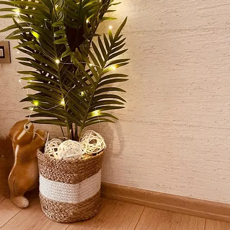 Vanja Appartamento *